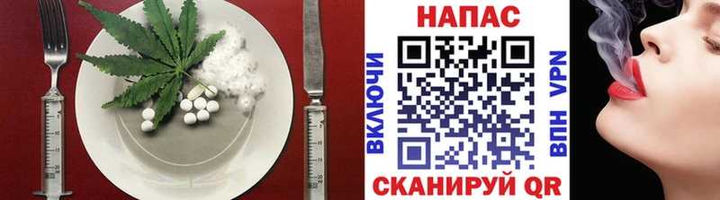 Canna-Cookies марихуана  Купить закладки  Енисейск 