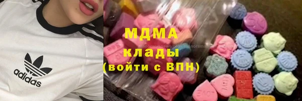 ешки Алексин