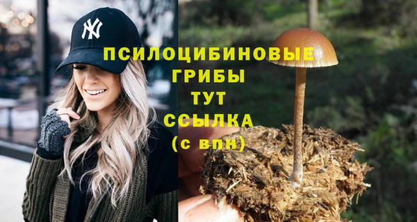 ешки Алексин