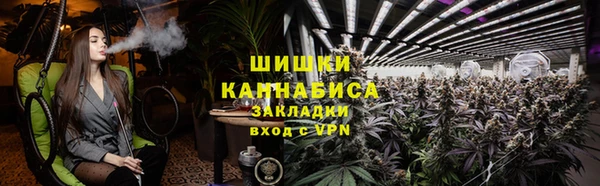 ешки Алексин